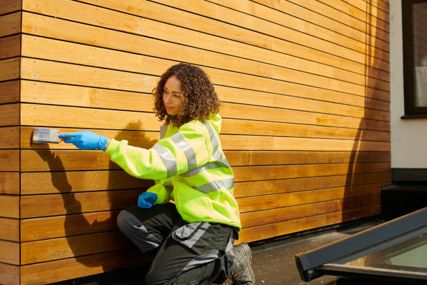 Affordable Siding Repair and Maintenance Services in Custer, SD